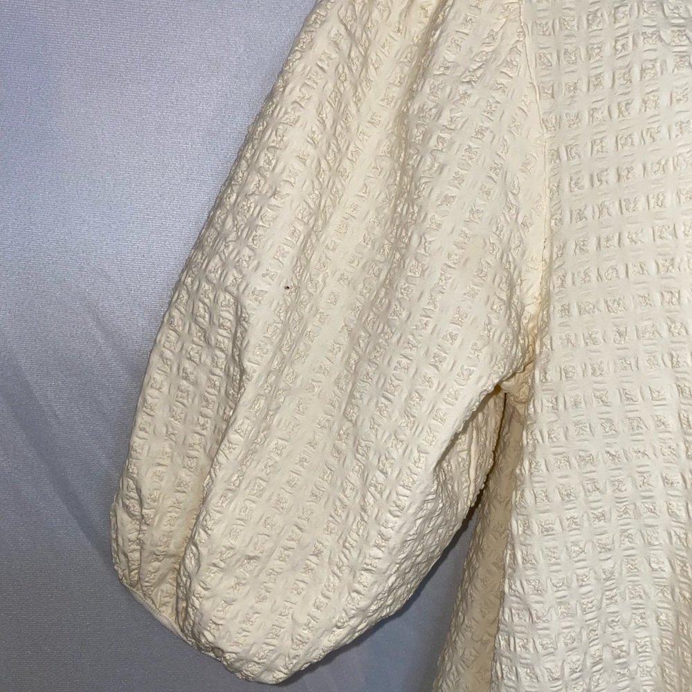 Ruffled Puffed Sleeved Dress - Picture 9 of 12